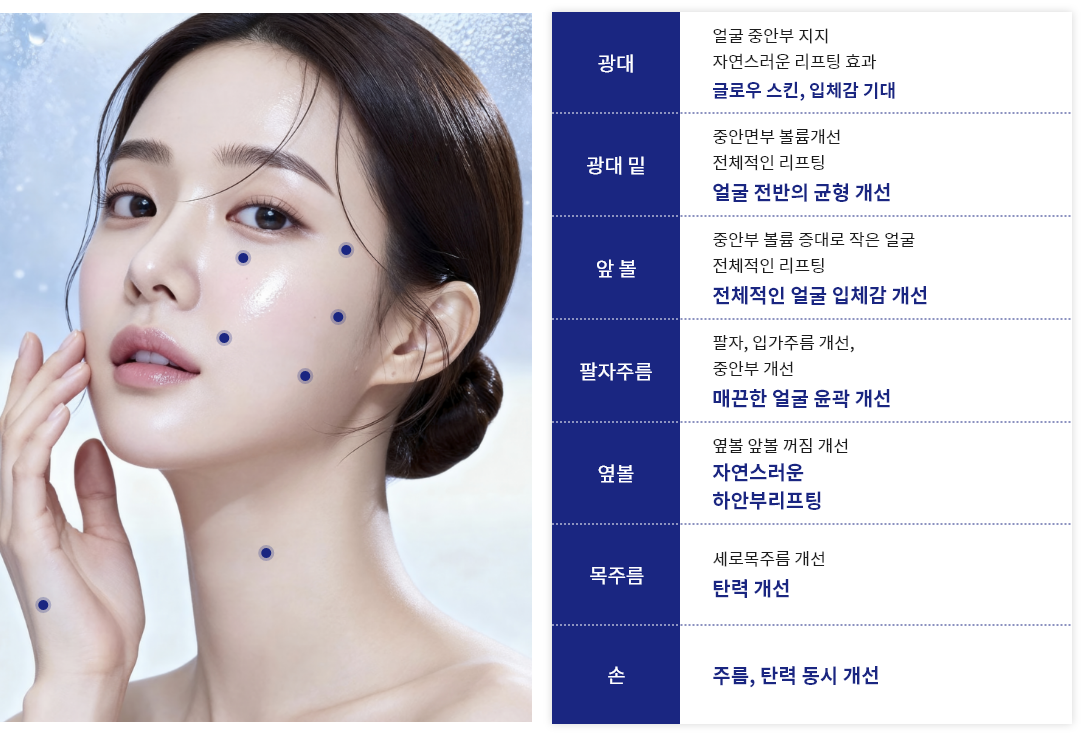 강력한 콜라겐 합성, 섬유아세포 증식