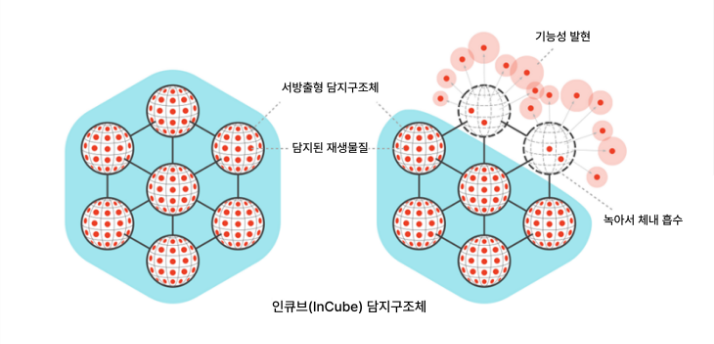 엘라비에 리투오
