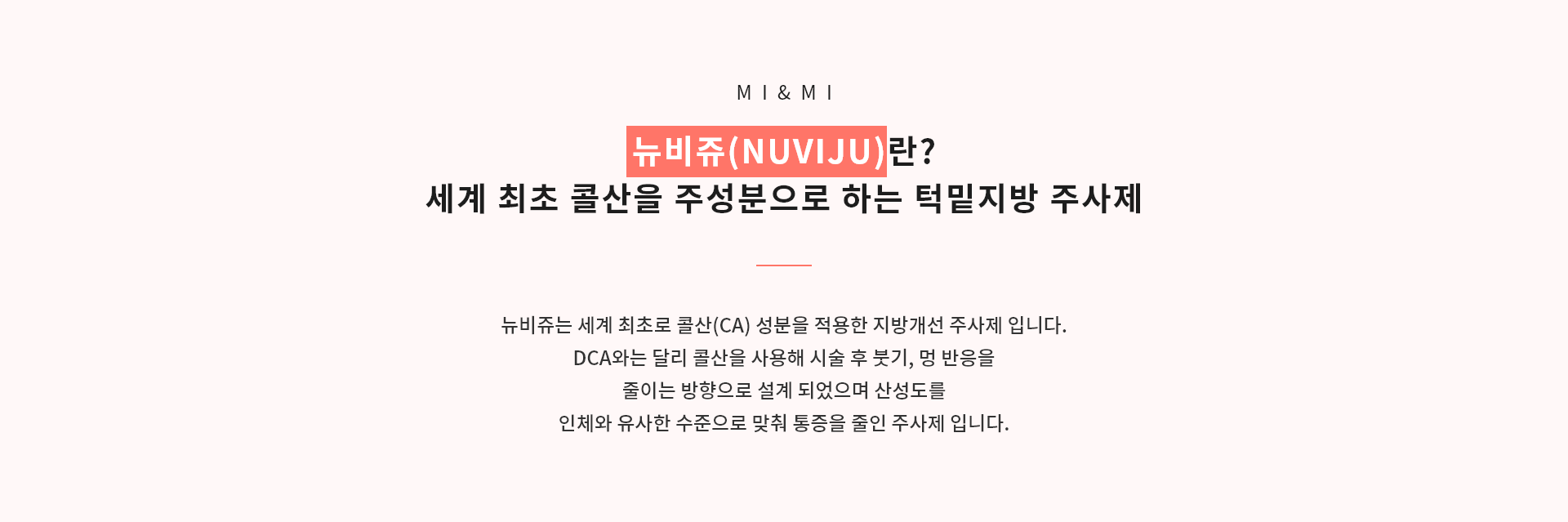 뉴비쥬란?